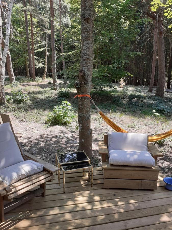 Chalet libellule Champclause Eksteriør billede